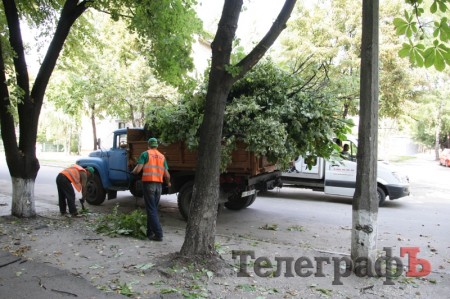 На улице Шевченко в Кременчуге подрезают липы (ФОТО)