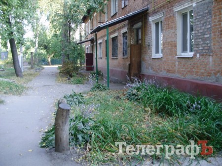 Пенсионеры вынуждены сидеть не на лавочке, а на пеньке (ФОТО)