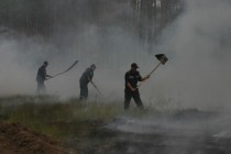 На Полтавщине сгорело 22 гектара леса (ФОТО)