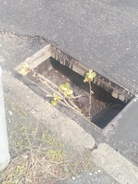 В центре Кременчуга машины влетают в открытую ливнёвку. По одному адресу проблему уже ликвидировали