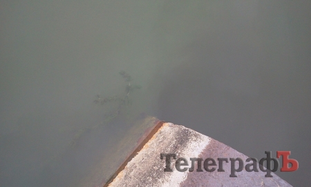 В Кременчуге в Сухом Кагамлыке отравили рыбу