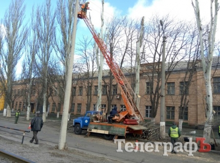 В Кременчуге коммунальники обрезают деревья