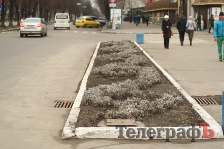 Живые мертвецы! Нарциссы-зомби появились на улицах Кременчуга