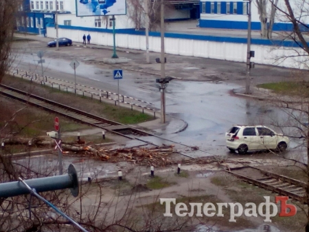 На вихідних у Кременчуці падали дерева