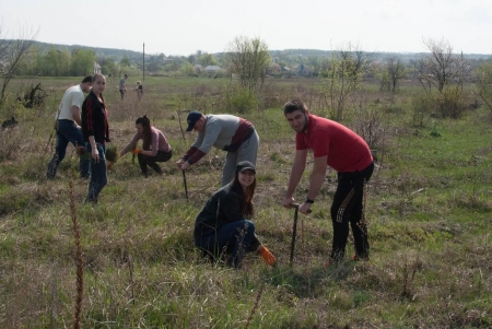 Майбутні юристи посадили під Кременчуком півтори тисячі сосен