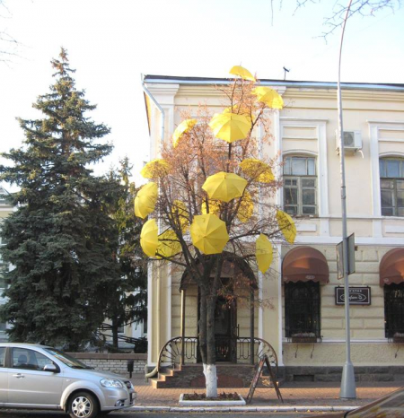 ФОТОФАКТ: Парасольки заполонили дерево у Кременчуці