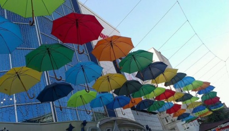 ФОТОФАКТ: Парасольки заполонили дерево у Кременчуці